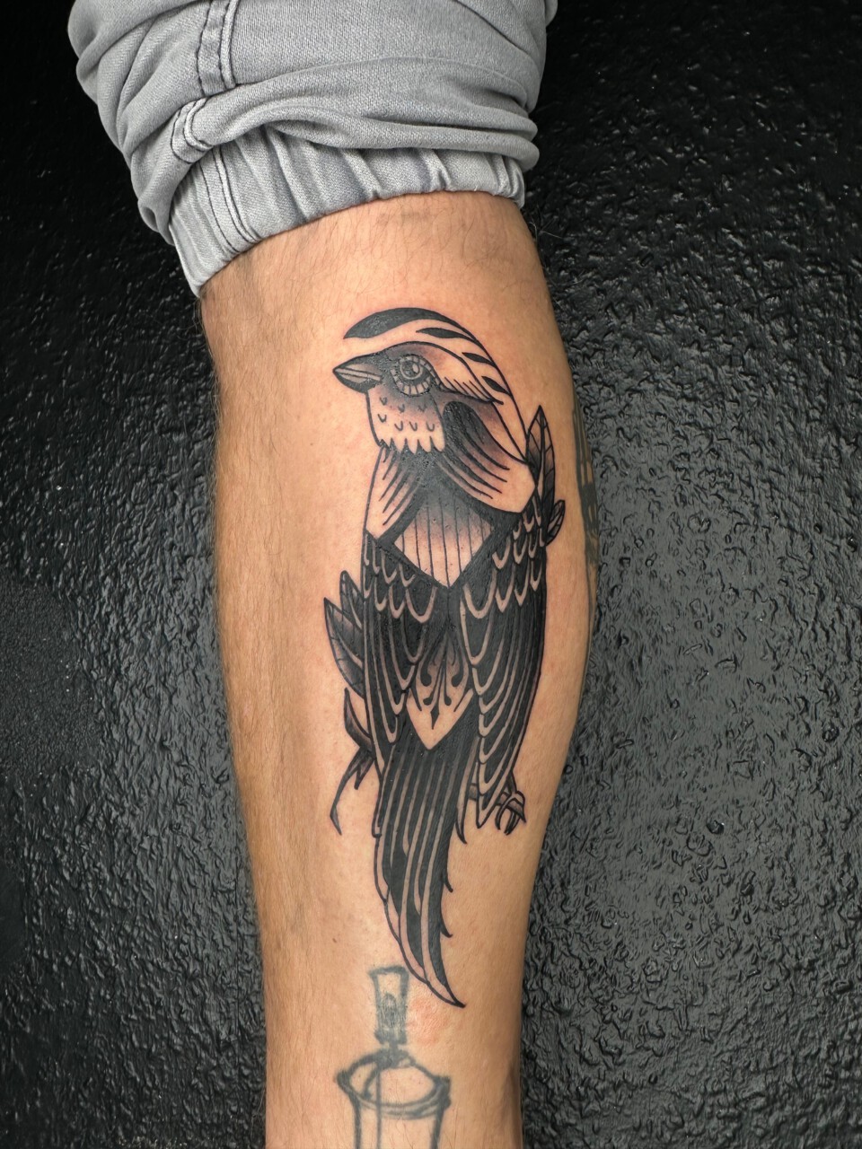 Traditional Tattoo Vogel am Unterschenkel — Kenneth, Blank Tattoo Hildesheim