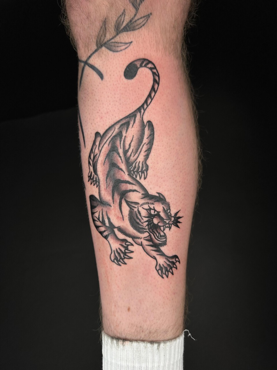 Traditional Tattoo herabspringender Tiger am Unterschenkel — Kenneth, Blank Tattoo Hildesheim