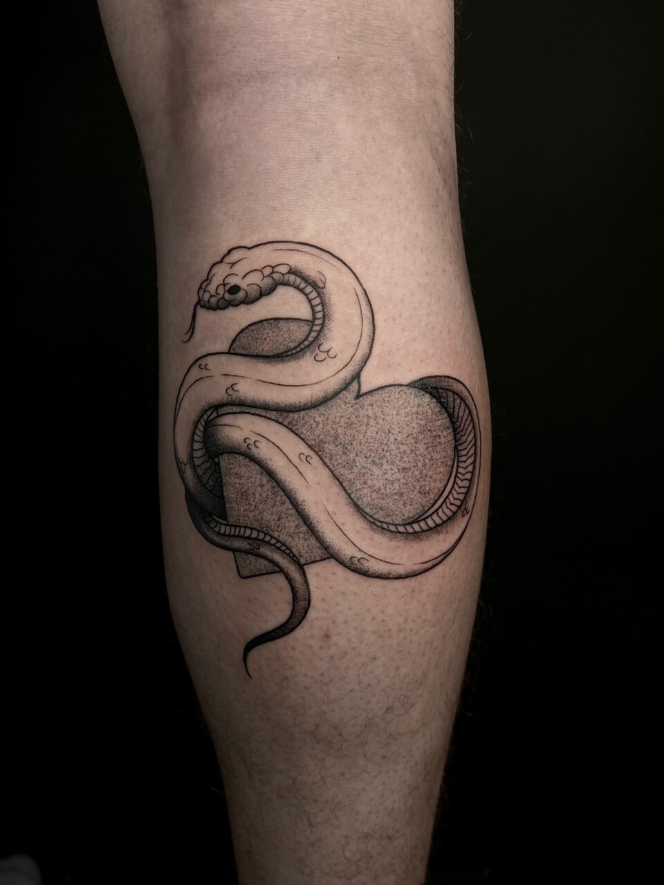 Blackwork Tattoo Schlange um Herz mit Dotwork-Schattierung am Unterschenkel — Mel, Blank Tattoo Hildesheim