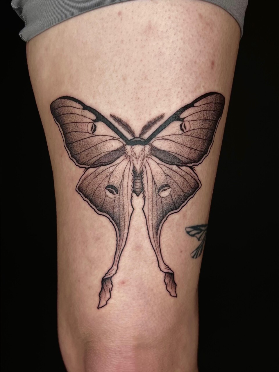 Blackwork Tattoo Mondmotte am Oberschenkel — Mel, Blank Tattoo Hildesheim