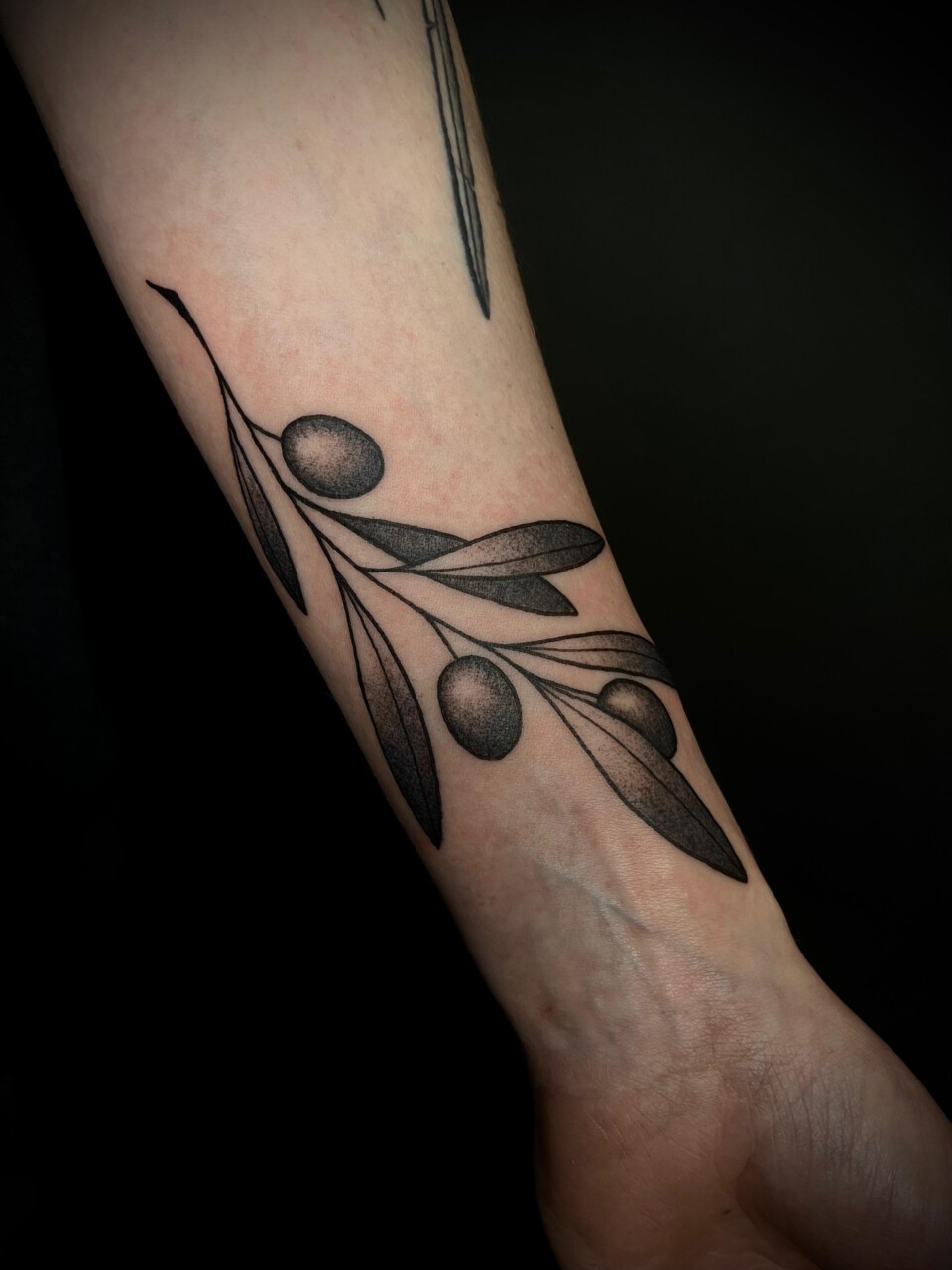 Blackwork Tattoo Olivenzweig am Unterarm — Mel, Blank Tattoo Hildesheim